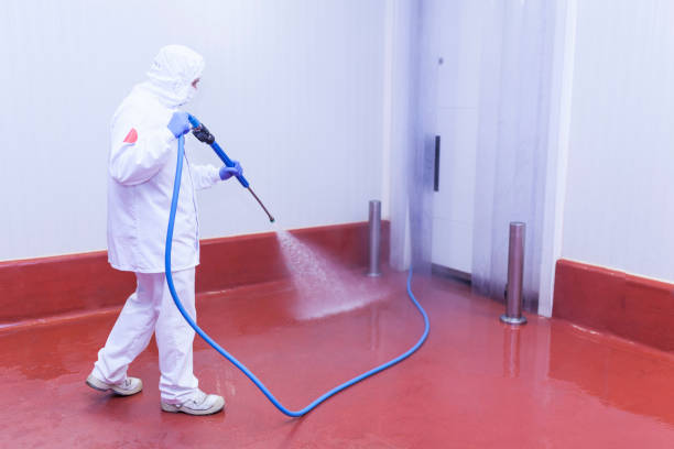 Meggett, SC  Pressure Washing Services Company