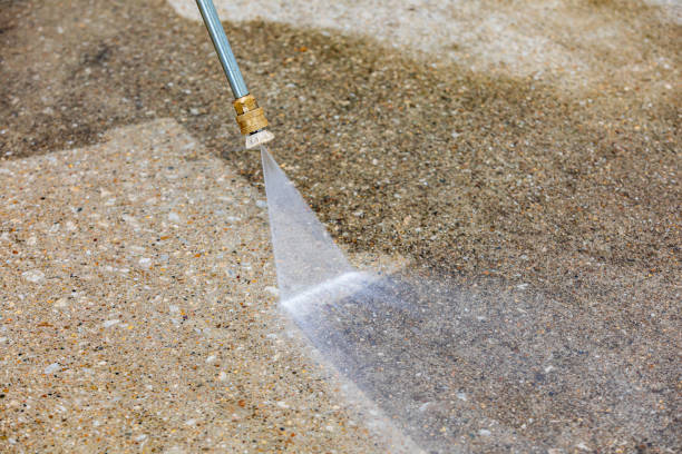 Best Pre-Holiday Cleaning  in Meggett, SC