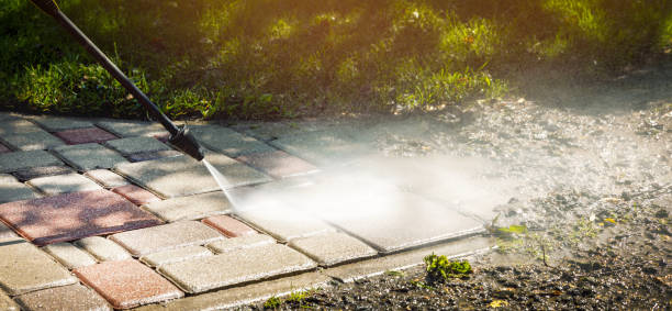 Best Solar Panel Cleaning  in Meggett, SC